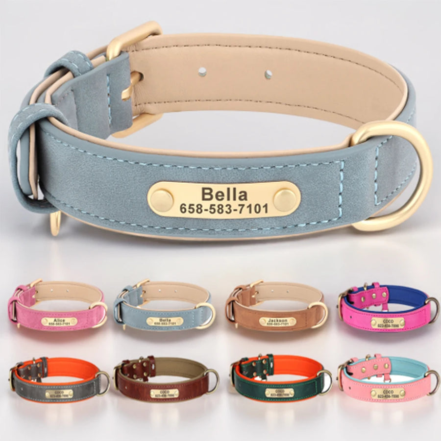 ๐ Clothing & Harnesses