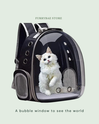 A bubble window to see the world