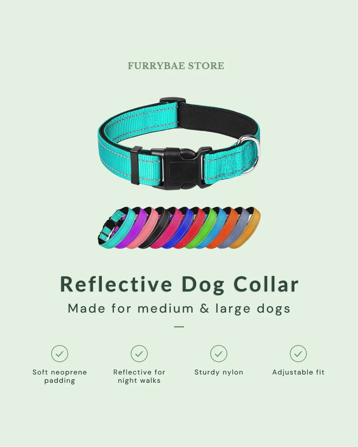 Reflective Dog Collar for medium and large dogs - neoprene padding, adjustable