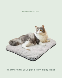 Cat relaxing on the self-warming pet pad