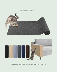 Saves sofas, chairs & carpets