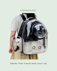 Hands-free travel with your cat