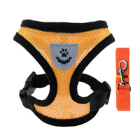 Breathable Mesh Harness & Leash Set for Cats & Small Dogs