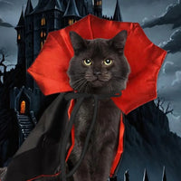 Halloween Bat Wing Cape for Cats & Dogs