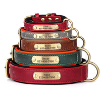Personalized Engraved Leather Dog Collar