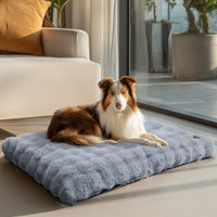 Ultra-Soft Calming Dog Bed with Foam Base