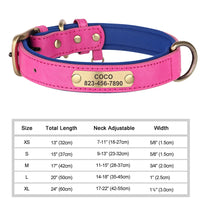 Personalized Engraved Leather Dog Collar