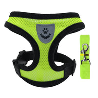 Breathable Mesh Harness & Leash Set for Cats & Small Dogs