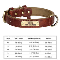 Personalized Engraved Leather Dog Collar