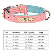 Personalized Engraved Leather Dog Collar