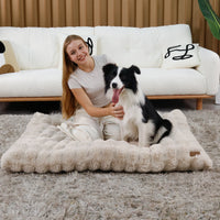 Ultra-Soft Calming Dog Bed with Foam Base
