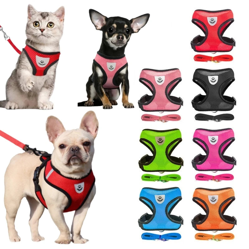 Breathable Mesh Harness & Leash Set for Cats & Small Dogs
