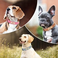 Personalized Engraved Leather Dog Collar