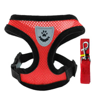 Breathable Mesh Harness & Leash Set for Cats & Small Dogs