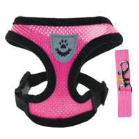 Breathable Mesh Harness & Leash Set for Cats & Small Dogs