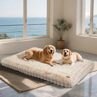 Ultra-Soft Calming Dog Bed with Foam Base