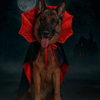 Halloween Bat Wing Cape for Cats & Dogs