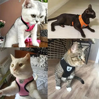 Breathable Mesh Harness & Leash Set for Cats & Small Dogs
