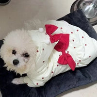 Cozy Bow Winter Coat for Small Dogs & Cats