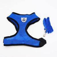 Breathable Mesh Harness & Leash Set for Cats & Small Dogs