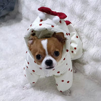 Cozy Bow Winter Coat for Small Dogs & Cats