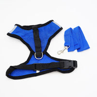 Breathable Mesh Harness & Leash Set for Cats & Small Dogs