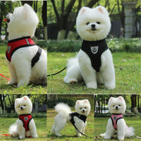 Breathable Mesh Harness & Leash Set for Cats & Small Dogs